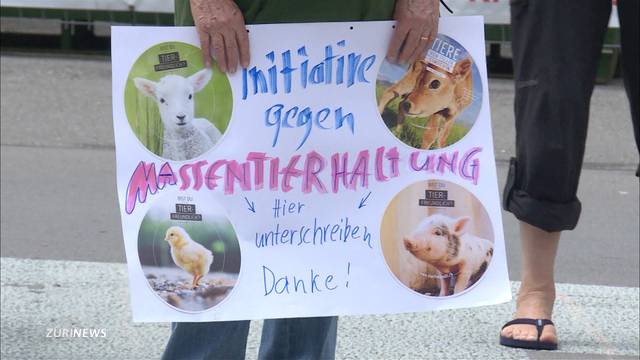 Tierschutzorganisatoren lancieren Volksinitiative gegen Massentierhaltung