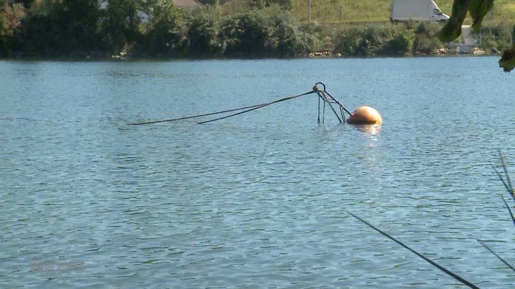 Polizist rettet Bub vor dem Ertrinken in der Aare