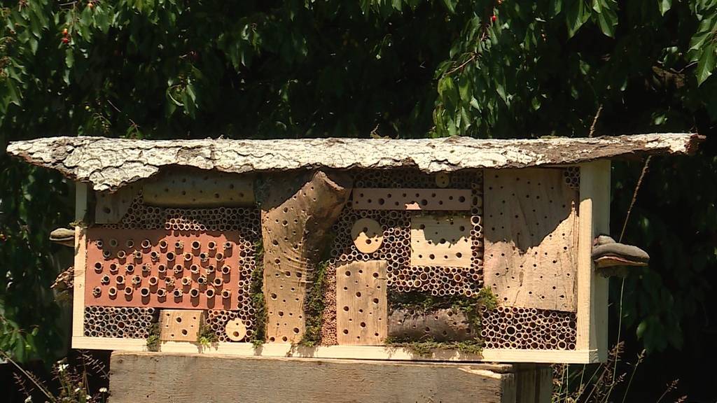 Hotel für Bienen