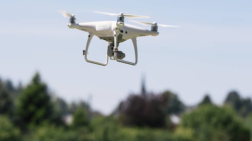 Italienische Behörden setzen Drohnen im Kampf gegen Brandstifter ein.
Allein innert zweier Wochen wurden in der süditalienischen Region
Kalabrien 32 Pyromanen angezeigt. (Symbolbild)