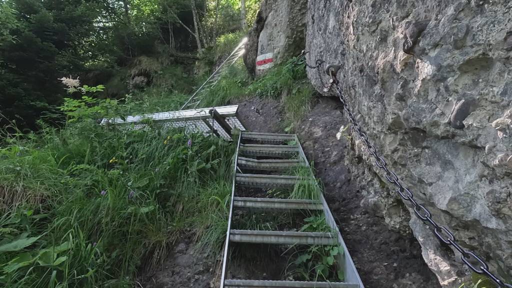 Kanton Zug: Wanderung via Leiter auf den Wildspitz