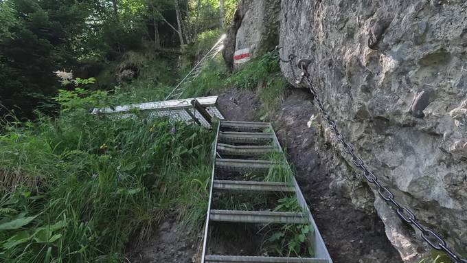 Vom Bergbeizli ins Gasthaus: Sophie wandert auf den Wildspitz