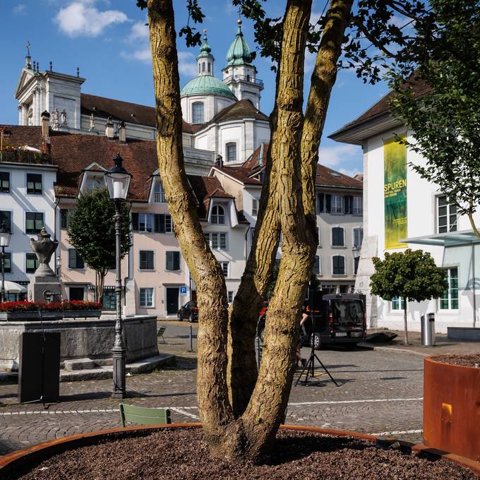 Bäume statt Autos: der Solothurner Klosterplatz zeigt sein neues Gesicht