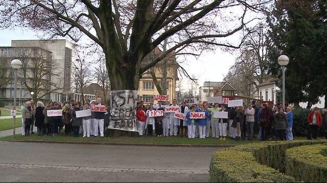 Eine Demonstration für die Buche