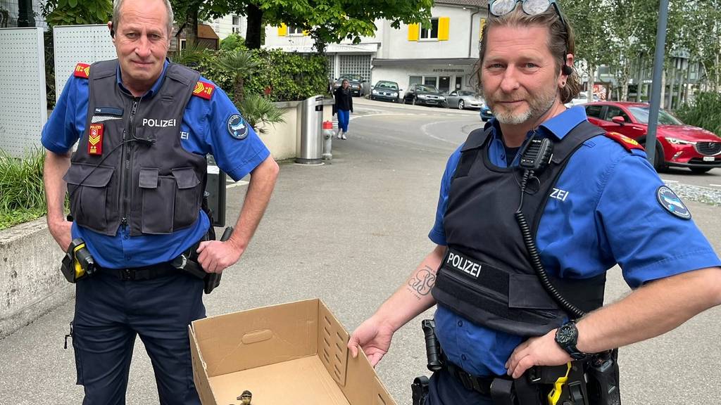 Die beiden Polizisten sammelten die Küken ein.