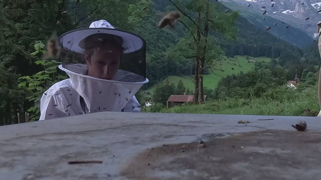 Vorschau «6 Wochen - 6 Kantone»