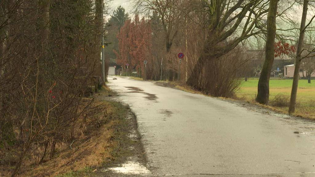 Zwist in Altenrhein: Gitter versperren Uferweg