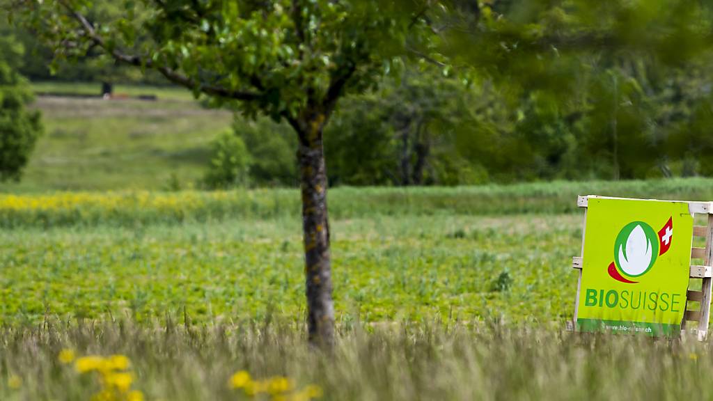 Die Schweiz ist Europameisterin im Konsum von Bio-Produkten