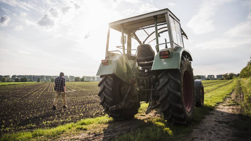 Traktor und Landwirt auf Feld 