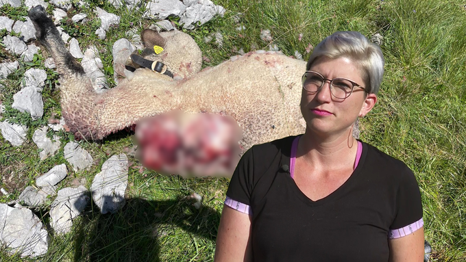 «Unsere Existenz ist bedroht»: Luzerner Älplerin kritisiert Vorgehen der Behörden