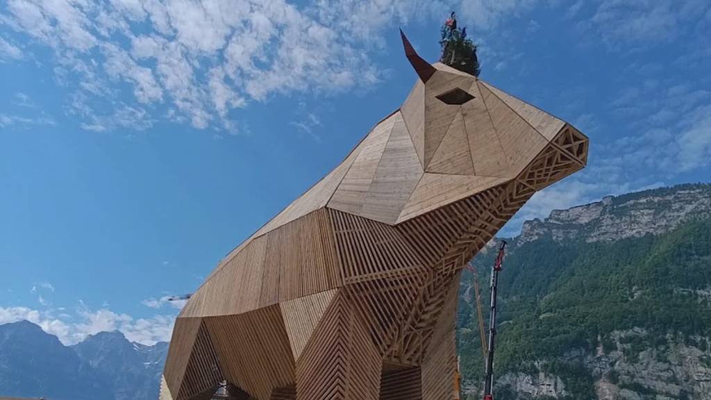 Drei Wochen bis zum ESAF - Riesiger Holzmuni steht