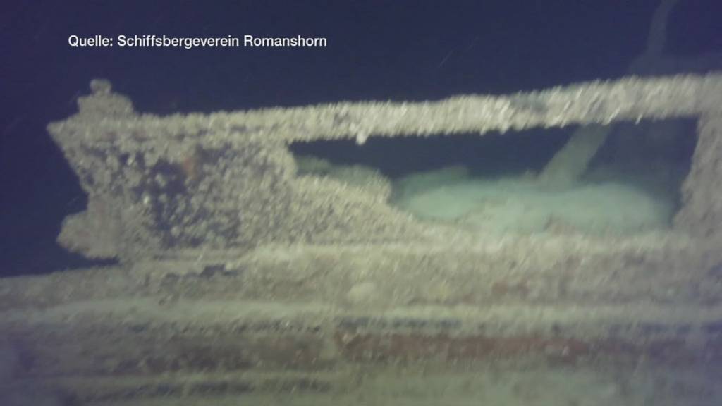 Dampfer «Jura» in Gefahr: Quaggamuscheln bedrohen Bodensee-Ökosystem