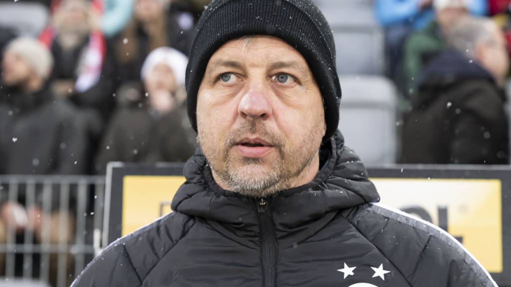 Gerald Scheiblehner muss die Grasshoppers schon wieder verlassen