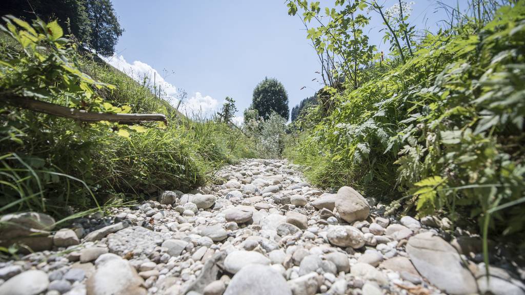 Kanton verbietet Wasserbezug in mehreren Bächen