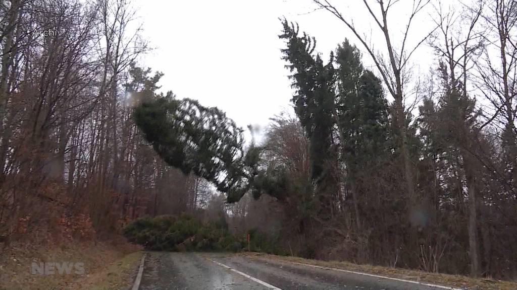  Sturmwarnung: Windgeschwindigkeiten bis zu 100kmh im Flachland