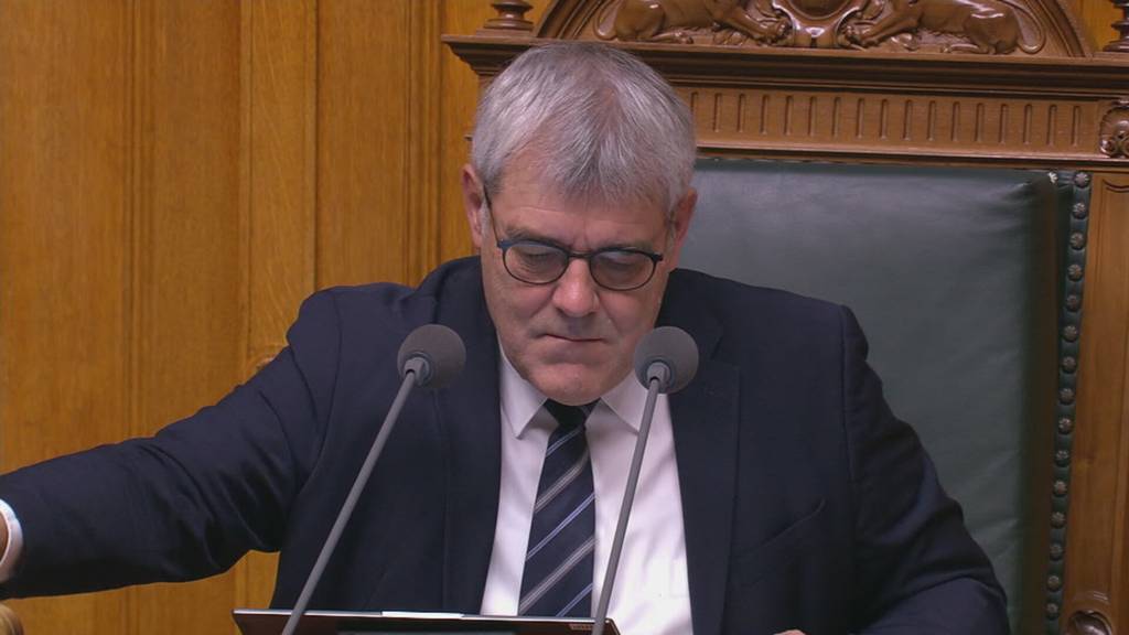 SVP blitzt ab: Nationalrat stoppt Asyldiskussion