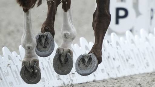Schweizer Concours-Complet-Team überzeugt in Aachen