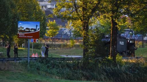 Eine Deutsche und vier Schweizer an Aarauer Raveparty verletzt