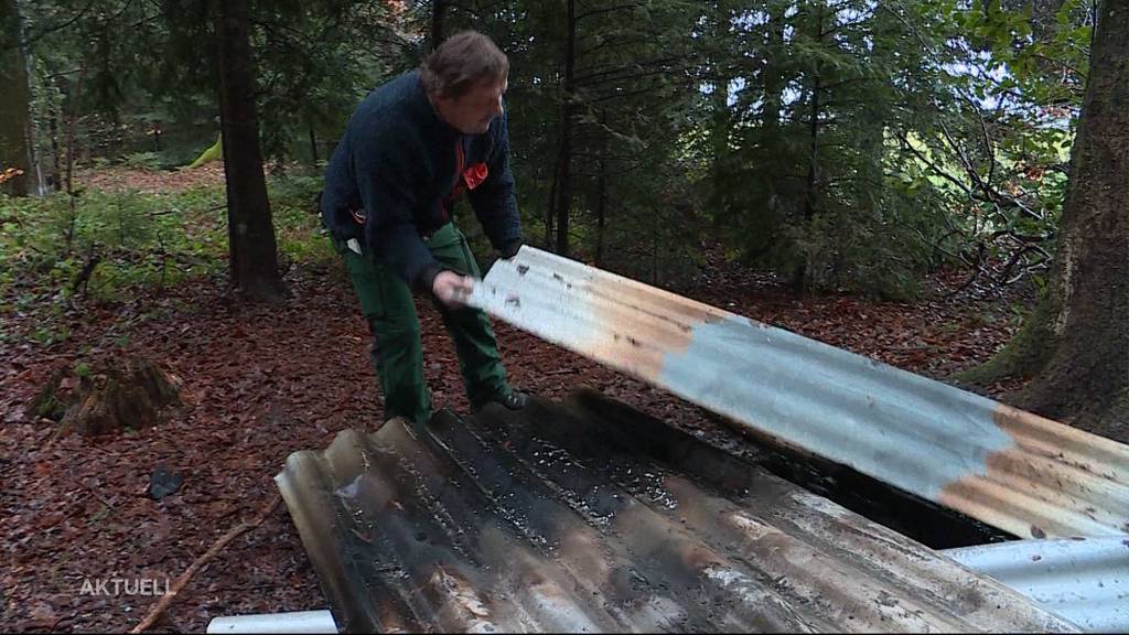 Hobby-Holzer ist stinksauer: Finderlohn für geklautes Holz in Bellach