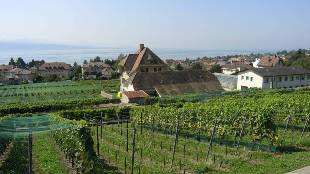 Das Weinbau-Forschungszentrum von Agroscope in Pully (VD) beobachtet die Reben seit fast 100 Jahren