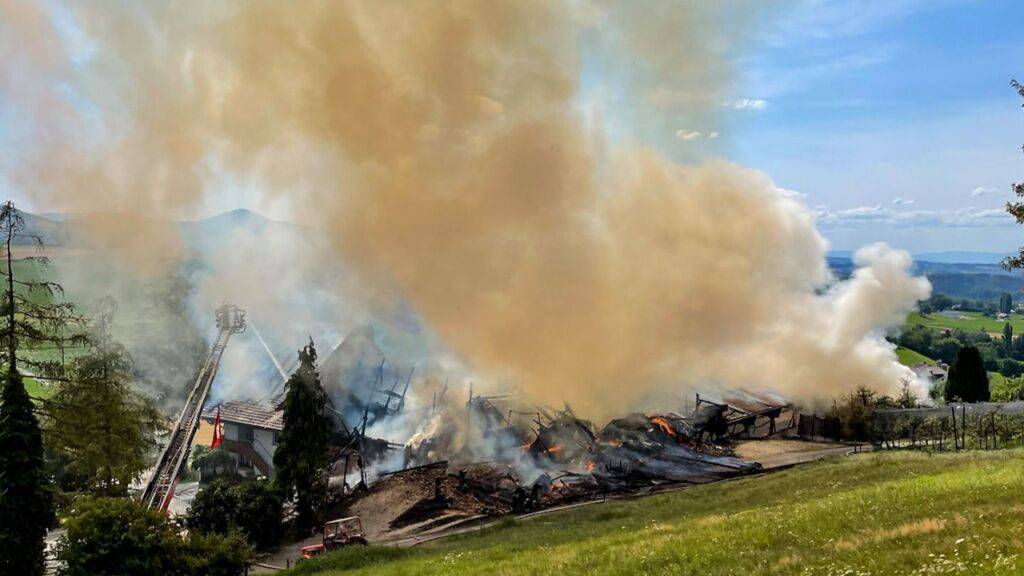 Drei Personen verloren durch den Brand ihr Obdach.