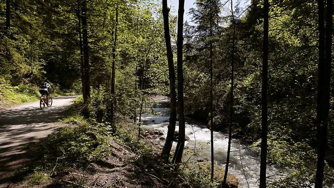 Wegen Besucheransturm: Stärkere Aufsicht in Wäldern