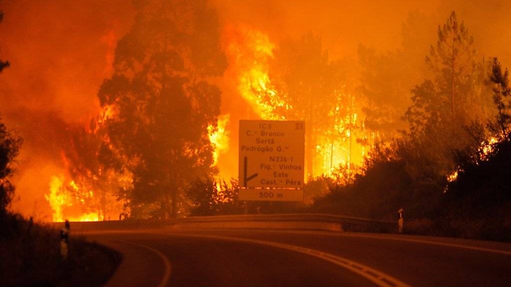 Zahlreiche Personen sind bei einem Waldbrand in der Region Leiria in Portugal ums Leben gekommen.