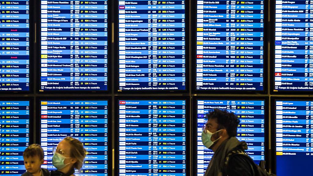 Passagiere nach der Ankunft am Flughafen Charles de Gaulle in Paris. (Archivbild)