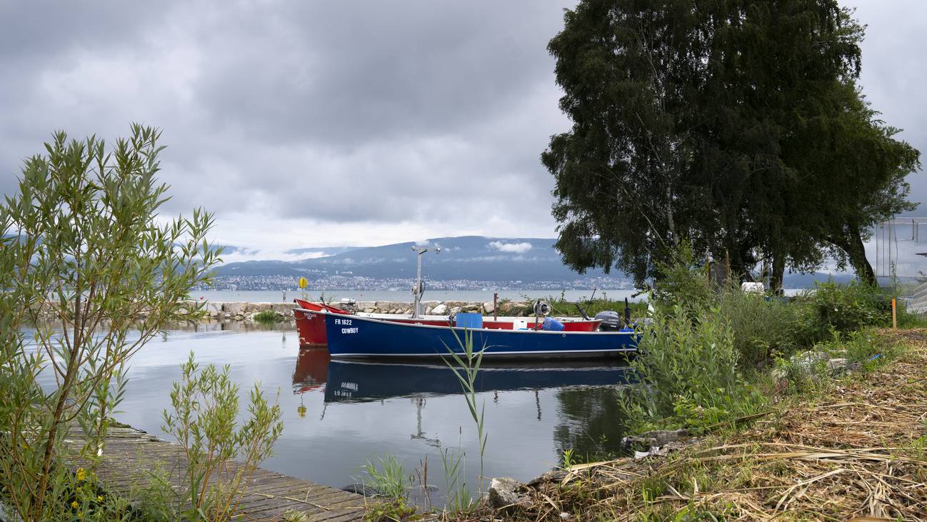 Grund für die Verschmutzung ist ein Boot, dass am Hafen von Portalban (FR) gesunken ist. (Archivbild)