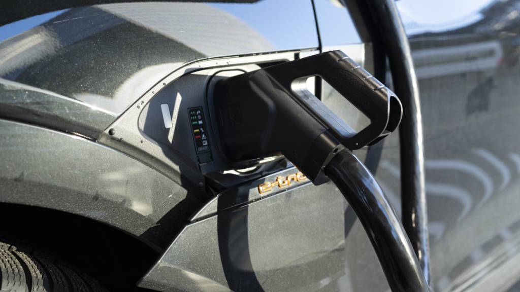 Elektroautos könnten einer neuen Studie zufolge in Afrika bis 2040 über den gesamten Lebenszyklus günstiger sein als Verbrenner. (Symbolbild)