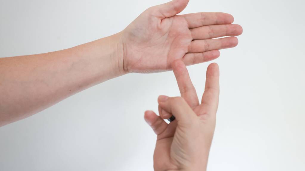 Nationalratskommission will Gebärdensprachen-Rahmengesetz schaffen