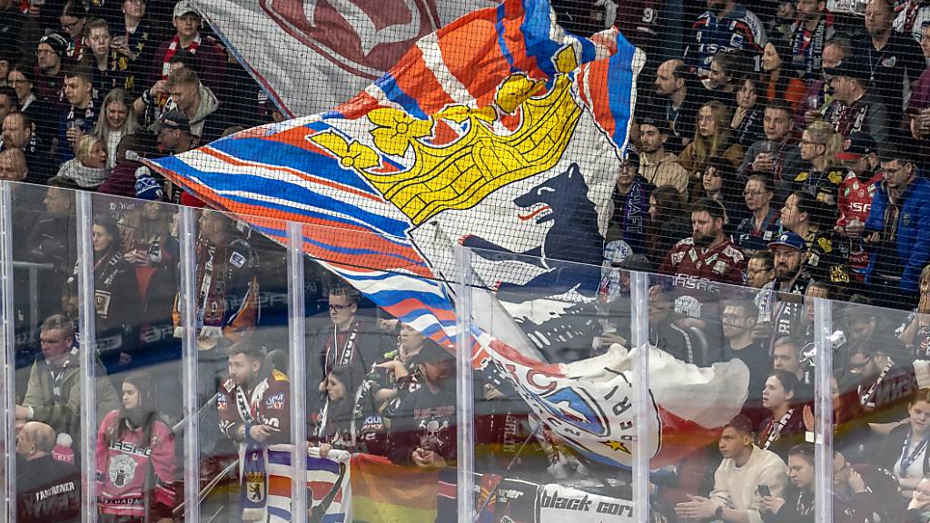 Die deutschen Eishockey-Stadien sind in dieser Saison bestens gefüllt