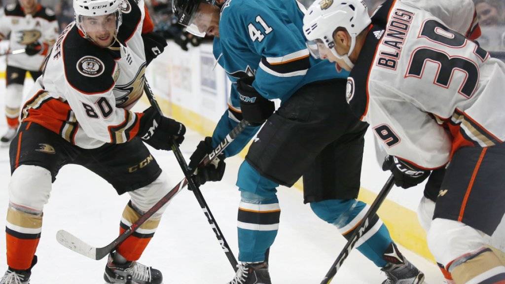 Vincent Praplan (Mitte/Nummer 41) bei einem Vorbereitungsspiel letzte Woche mit dem NHL-Team San Jose Sharks gegen die Anaheim Ducks