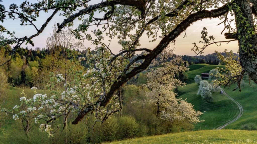 Dieser Ort in Sternenberg heisst gemäss einer Einwohnerin «Under em Pfarrer». Das Bild von Tom Kawara findet sich im Buch «Sternenberg. Ein Ort und seine Geschichte». Erschienen ist es 2019 beim Chronos Verlag in Zürich.
