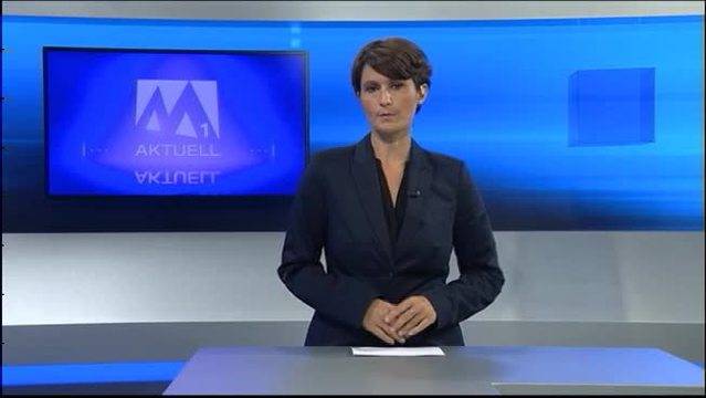 Maschendrahtzaun 2.0