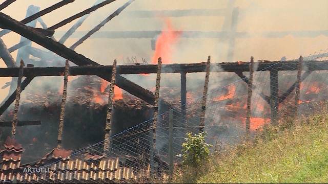 Nach Brand: Bauernfamilie steht vor dem Nichts