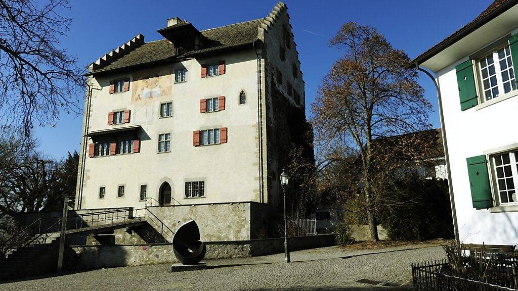 Das Schloss Greifensee: Zwei Aussenwachten der Stadt Uster hätten sich der Gemeinde Greifensee anschliessen sollen, forderte ein Komitee. (Symbolbild)