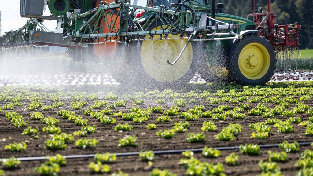 Die Zukunft der Schweizer Landwirtschaft – und dabei insbesondere der Einsatz von Pestiziden – spaltet die Politik. (Symbolbild)