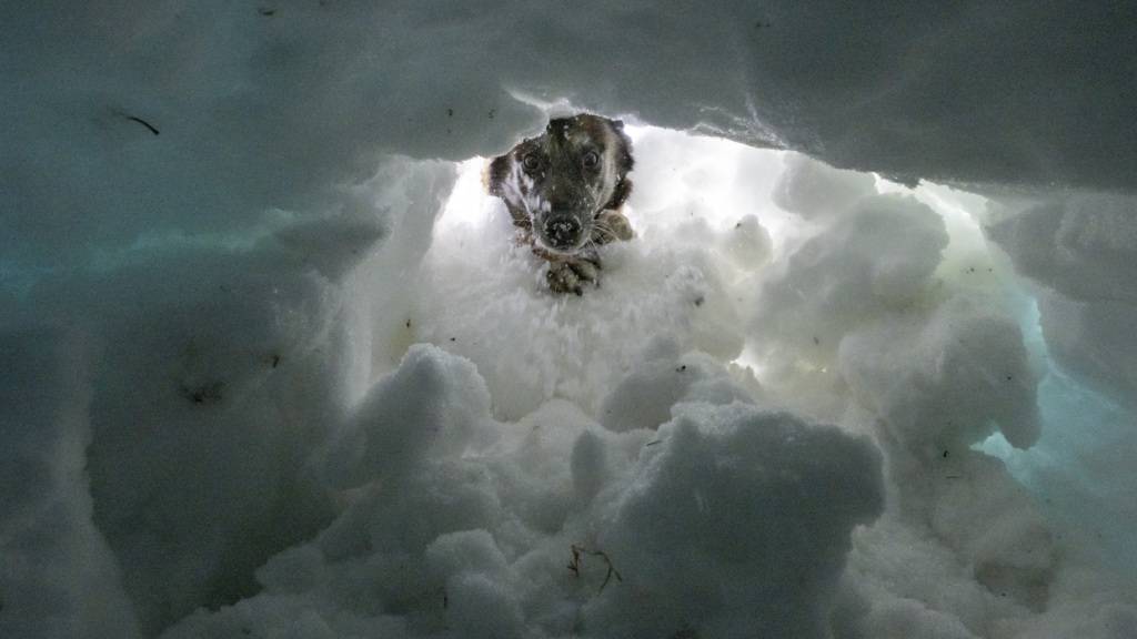 Im Winter sind bisher 15 Menschen in Lawinen umgekommen