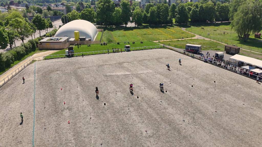 Kleine Ponys, grosse Leistung – Wettkampf der besonderen Art in Bern