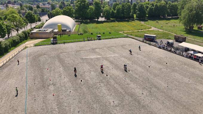 Kleine Ponys, grosse Leistung – Wettkampf der besonderen Art in Bern