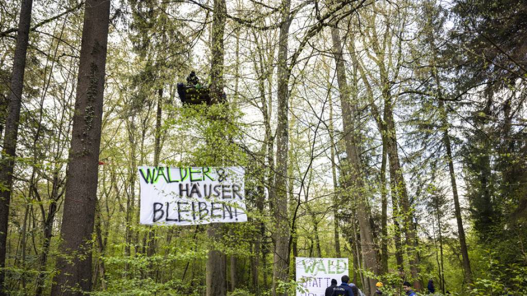 Gemeinde Rümlang setzt Wald-Besetzern ein Ultimatum
