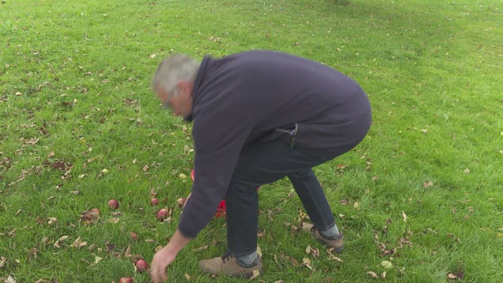 Herbst vergoldet das Ergebnis: Rekordverdächtiges Jahr für Ostschweizer Campingplatzbetreiber