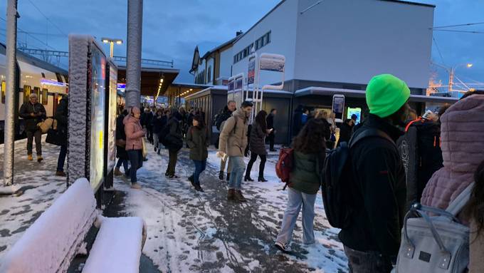 Zugausfall zwischen Stadelhofen und Tiefenbrunnen – Passagiere müssen umsteigen