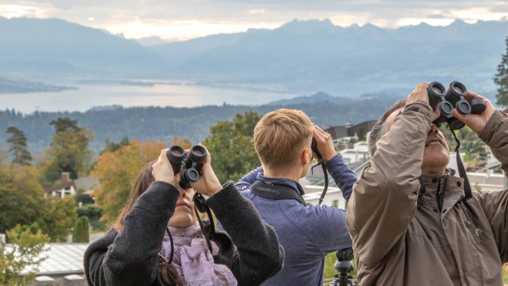 Am 5. und 6. Oktober lädt BirdLife Schweiz an 63 Standorten ein, den Herbstzug zu beobachten.