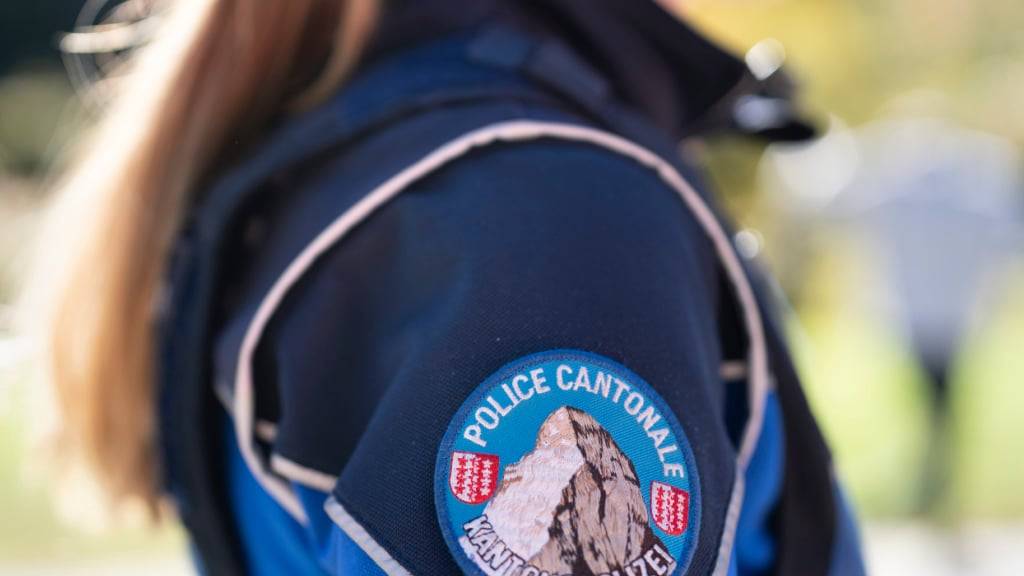 Unwetter und ein Murgang hielten Polizei und Feuerwehr im Wallis auf Trab. (Symblbild)
