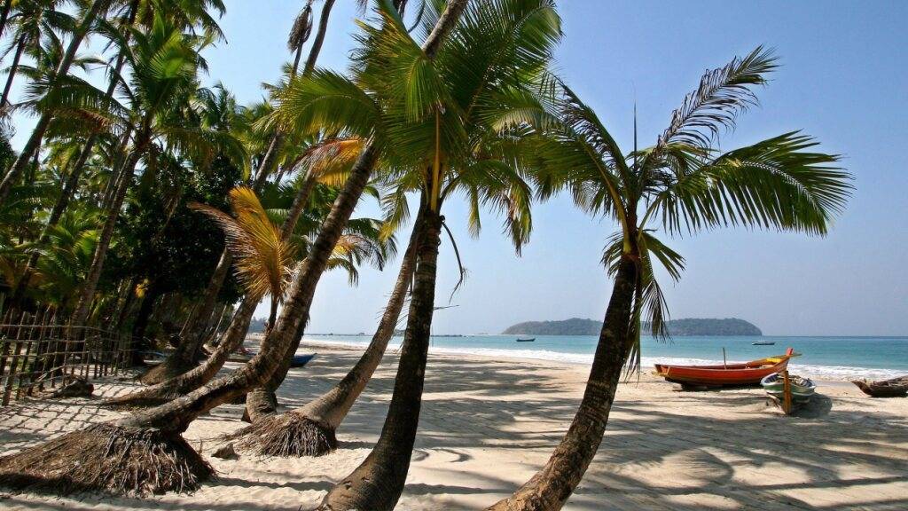 Ein Strand ohne Palmen ist nur halb so schön: An den Traumständen von Guadeloupe müssen dennoch einige Kokospalmen gefällt werden. (Symbolbild)