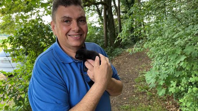«Wie Kinder für mich» – Bassersdorfer freut sich über Katzenbaby-Rettung
