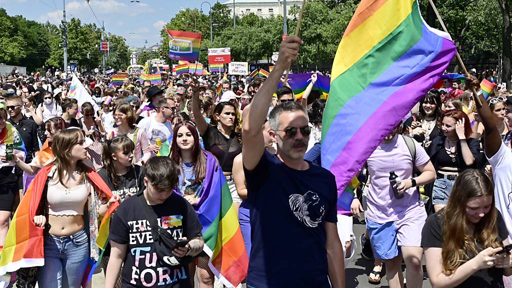 Menschen nehmen an der jährlichen Gay Pride Rainbow Parade teil. Foto: Hans Punz/APA/dpa