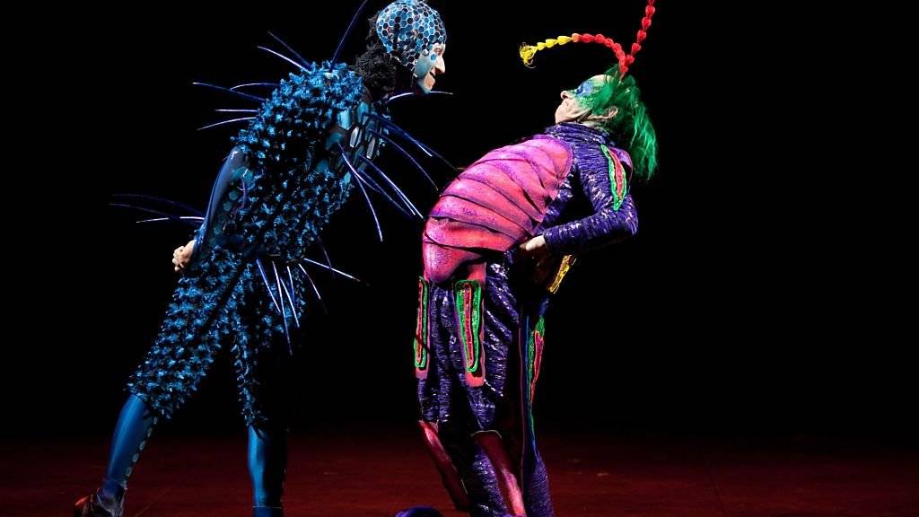 Der Cirque du Soleil startet die Europa-Tournee der seit Jahren erfolgreichen Produktion «OVO» im Oktober 2017 in der Schweiz. (Pressefoto)